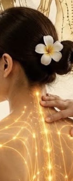 Dưỡng sinh toàn thân đả thông kinh lạc